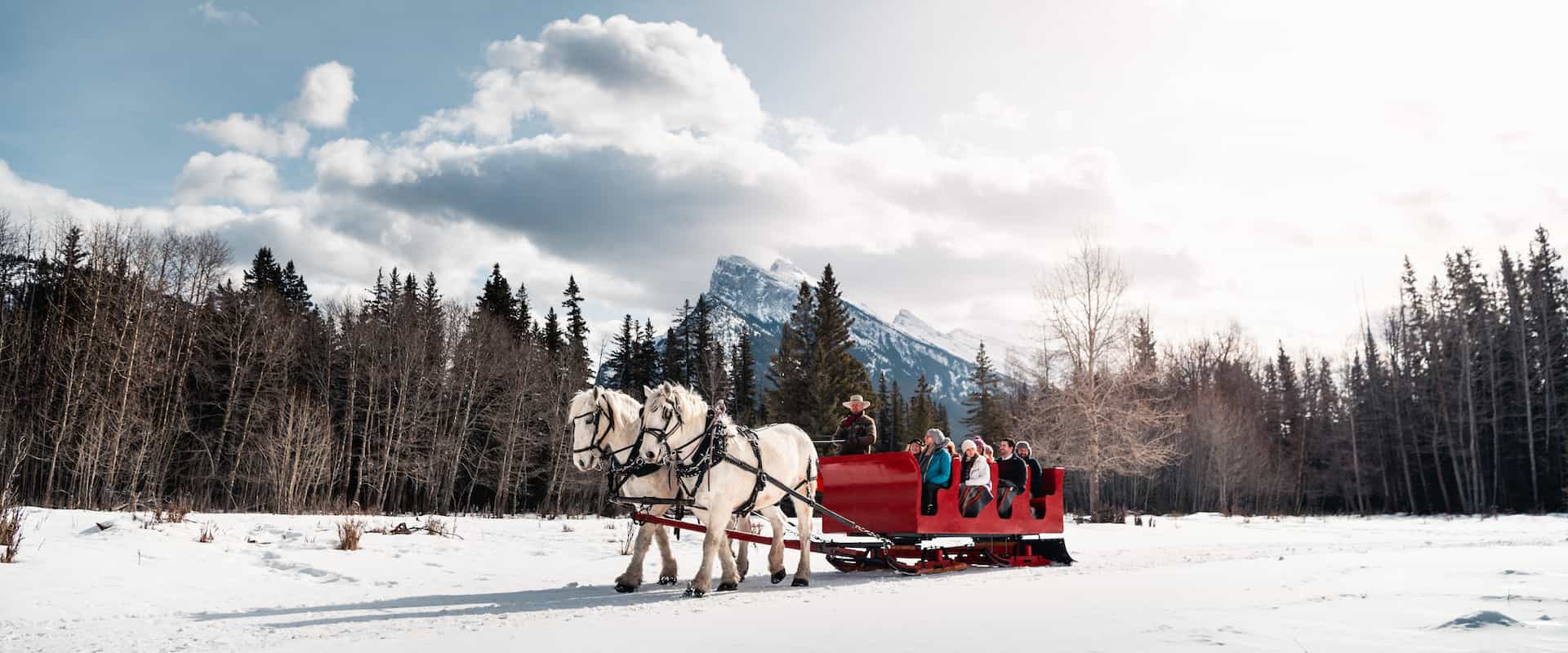 Banff Winter Sleigh Rides