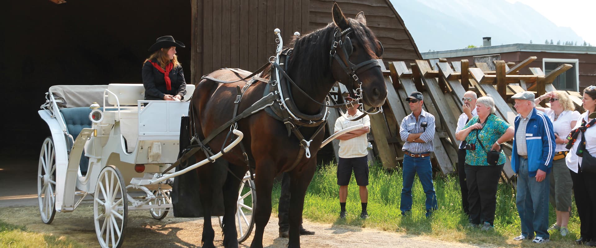 Stables Tour