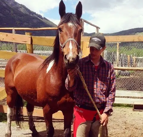 Banff Trail Riders Wesley Guide Horse