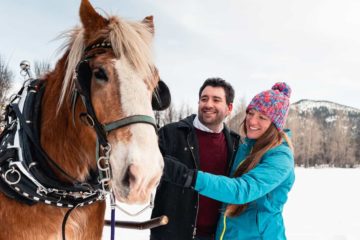 Banff private sleigh ride with Banff Trail Riders