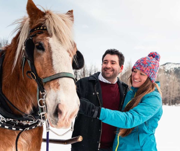 Banff private sleigh ride with Banff Trail Riders