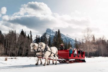 Banff snowy sleigh ride in the Canadian Rockies with Banff Trail Riders