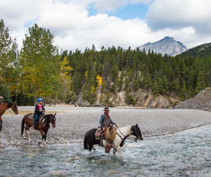 Banff Hourly Trail Rides | Banff Trail Riders | Official Website