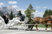 Wedding Carriage Ride in Banff, Canadian Rockies with Banff Trail Riders